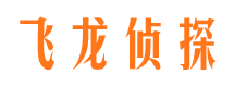 金湖市调查公司